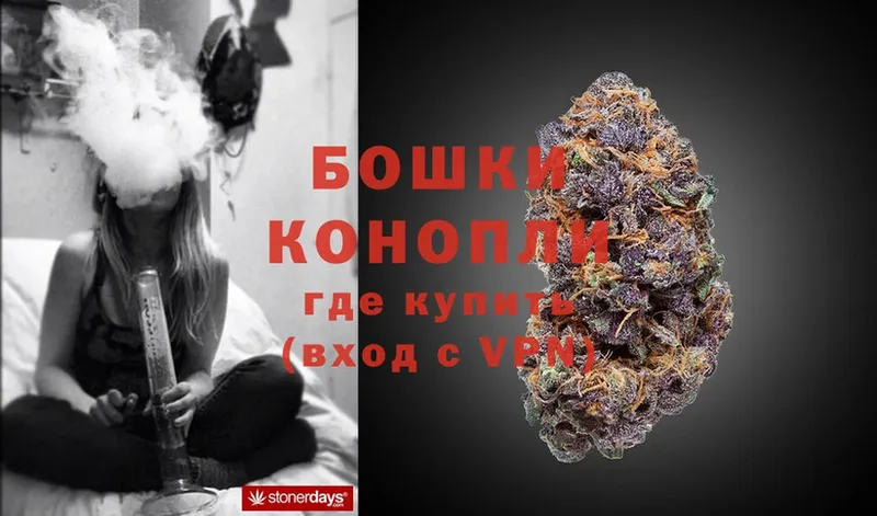 Бошки марихуана OG Kush  купить   omg ссылки  Макушино 